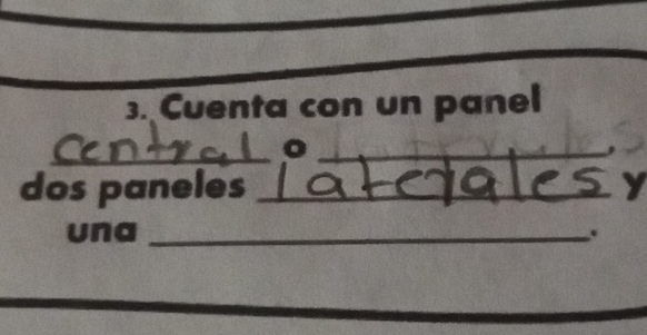 Cuenta con un panel 
_ 
__ 
o 
_ 
dos paneles _y 
una _.