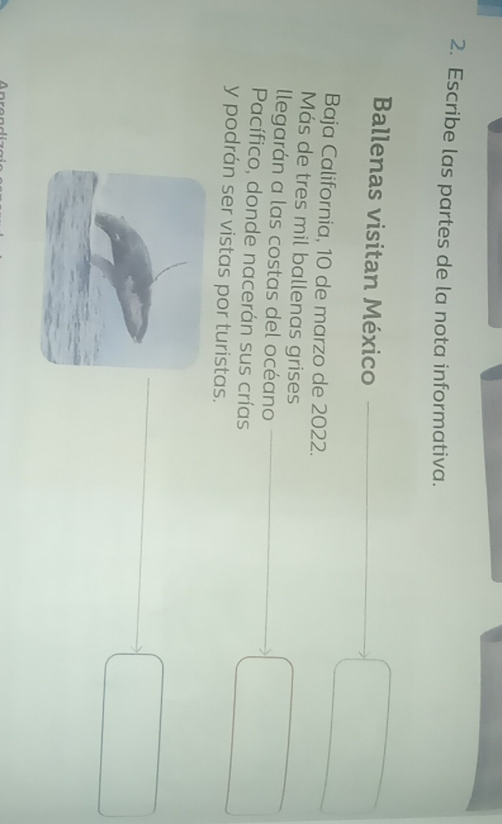 Escribe las partes de la nota informativa. 
Ballenas visitan México 
Baja California, 10 de marzo de 2022. 
Más de tres mil ballenas grises 
llegarán a las costas del océano 
Pacífico, donde nacerán sus crías 
y podrán ser vistas por turistas.