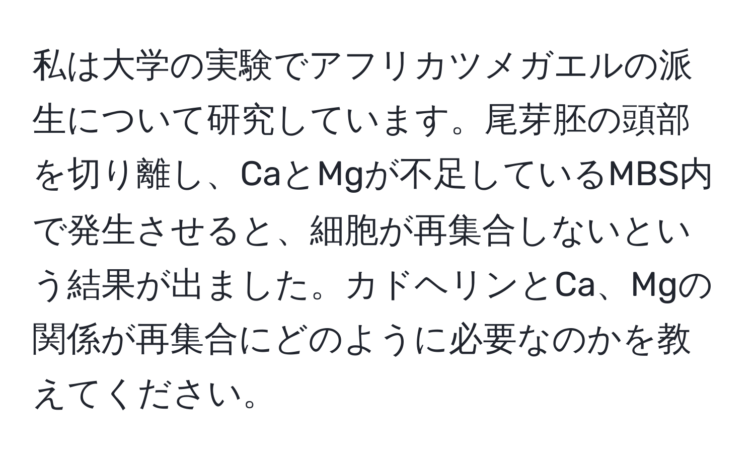 私は大学の実験でアフリカツメガエルの派生について研究しています。尾芽胚の頭部を切り離し、CaとMgが不足しているMBS内で発生させると、細胞が再集合しないという結果が出ました。カドヘリンとCa、Mgの関係が再集合にどのように必要なのかを教えてください。