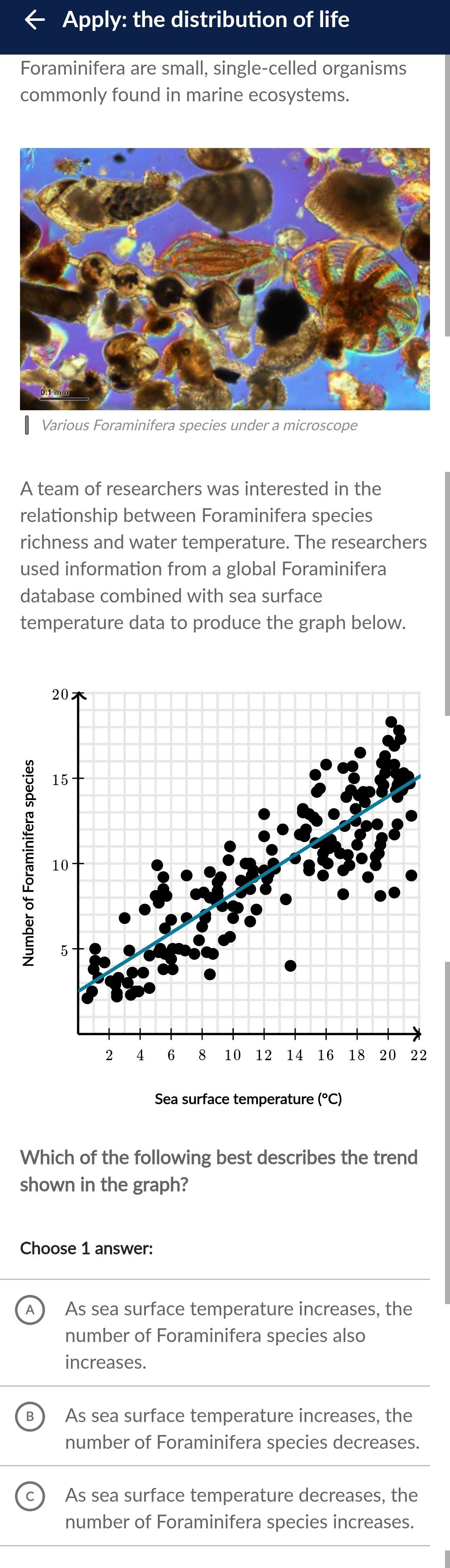 Apply: the distribution of life
Foraminifera are small, single-celled organisms
commonly found in marine ecosystems.
Various Foraminifera species under a microscope
A team of researchers was interested in the
relationship between Foraminifera species
richness and water temperature. The researchers
used information from a global Foraminifera
database combined with sea surface
temperature data to produce the graph below.
2
Which of the following best describes the trend
shown in the graph?
Choose 1 answer:
As sea surface temperature increases, the
number of Foraminifera species also
increases.
As sea surface temperature increases, the
number of Foraminifera species decreases.
As sea surface temperature decreases, the
number of Foraminifera species increases.