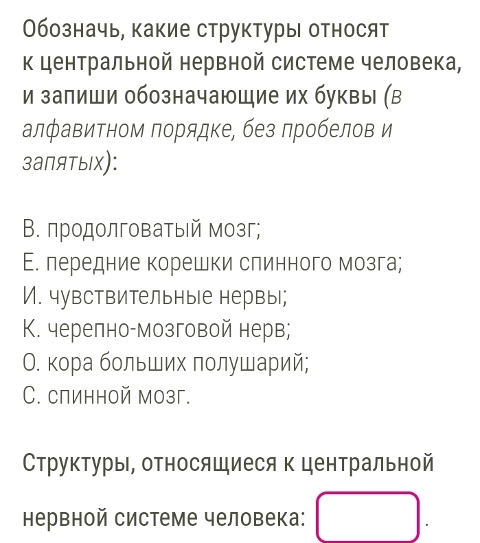 Обозначь, какие структуры относят 
к центральной нервной системе человека, 
и залиши обозначаюшие их буквы (в 
алфавитном порядке, без лробелов и 
заΠятыιх): 
Β. продолговатый мозг; 
Е. лередние корешки слинного мозга; 
И. чувствительные нервыl; 
K. черелно-мозговой нерв; 
О. κора бοльших ποлушарий; 
C. слинной мозг. 
Структуры, относящиеся к центральной 
Кервной системе человека: