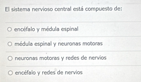 El sistema nervioso central está compuesto de:
encéfalo y médula espinal
médula espinal y neuronas motoras
neuronas motoras y redes de nervios
encéfalo y redes de nervios