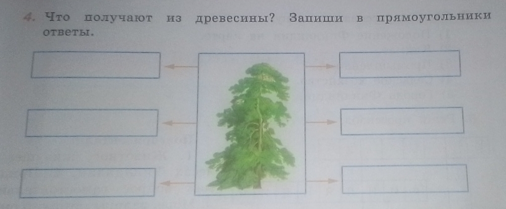 что получают из древесины? Залίиеши в прямоугольники 
Oтветы.