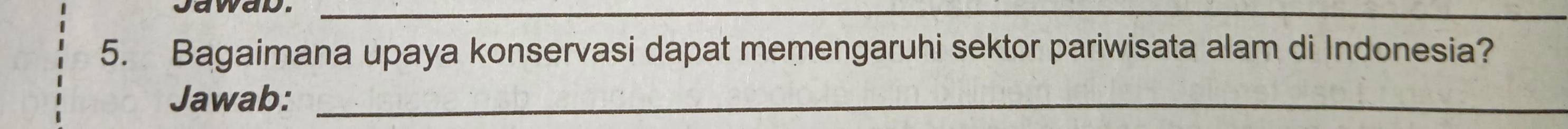 Jawad._ 
5. Bagaimana upaya konservasi dapat memengaruhi sektor pariwisata alam di Indonesia? 
Jawab:_