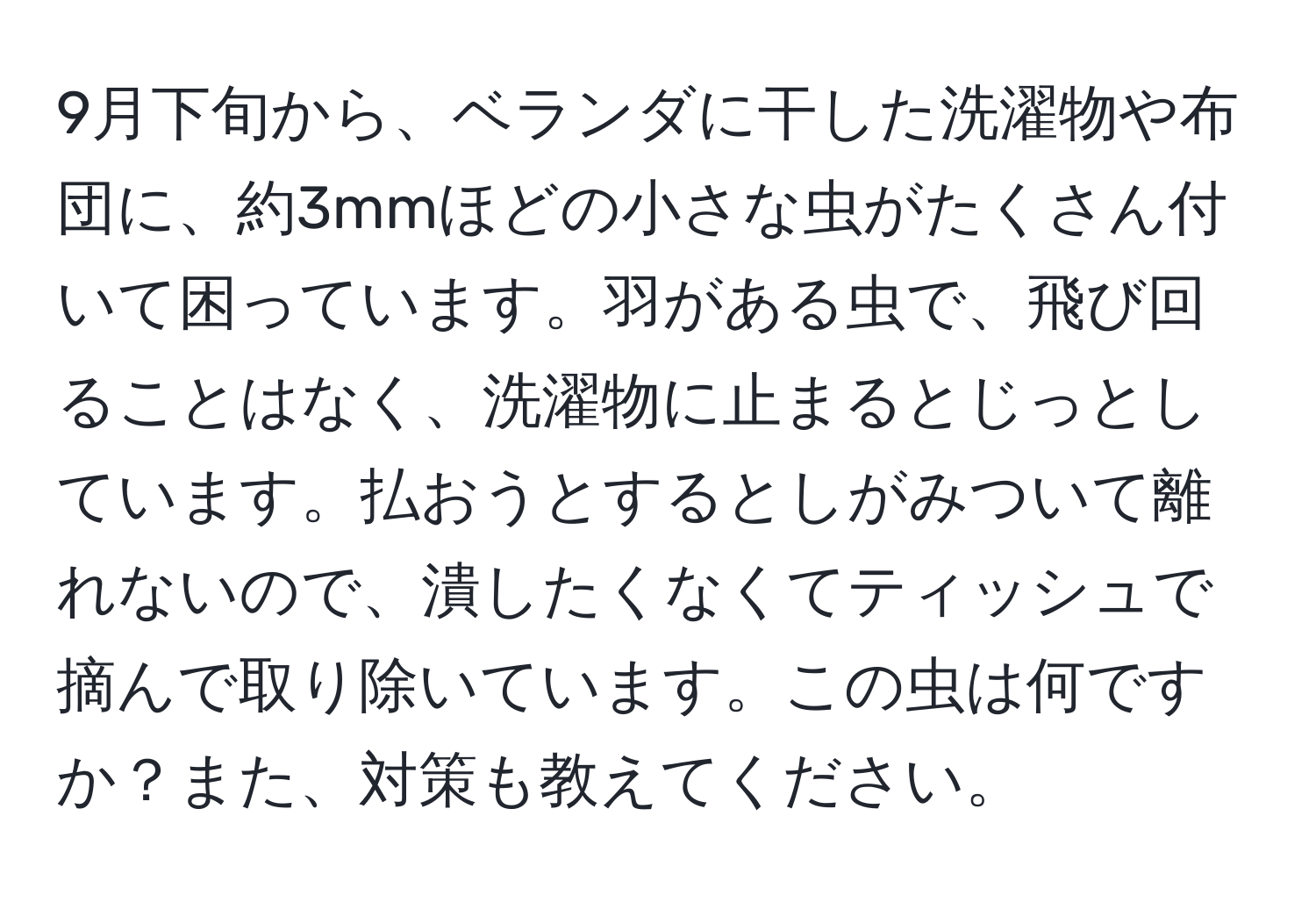 9月下旬から、ベランダに干した洗濯物や布団に、約3mmほどの小さな虫がたくさん付いて困っています。羽がある虫で、飛び回ることはなく、洗濯物に止まるとじっとしています。払おうとするとしがみついて離れないので、潰したくなくてティッシュで摘んで取り除いています。この虫は何ですか？また、対策も教えてください。