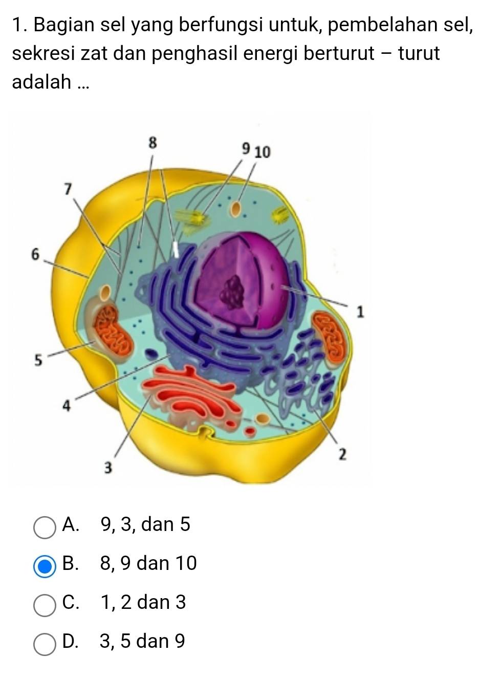 Bagian sel yang berfungsi untuk, pembelahan sel,
sekresi zat dan penghasil energi berturut - turut
adalah ...
A. 9, 3, dan 5
B. 8, 9 dan 10
C. 1, 2 dan 3
D. 3, 5 dan 9