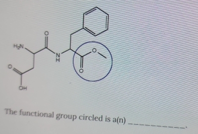 The functional group circled is a(n).