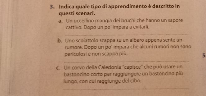 Indica quale tipo di apprendimento è descritto in 
questi scenari. 
a. Un uccellino mangia dei bruchi che hanno un sapore 
cattivo. Dopo un po’ impara a evitarli. 
_ 
b. Uno scoiattolo scappa su un albero appena sente un 
rumore. Dopo un po’ impara che alcuni rumori non sono 
pericolosi e non scappa più. 
_ 
5 
c. Un corvo della Caledonia “capisce” che può usare un 
bastoncino corto per raggiungere un bastoncino più 
lungo, con cui raggiunge del cibo. 
_