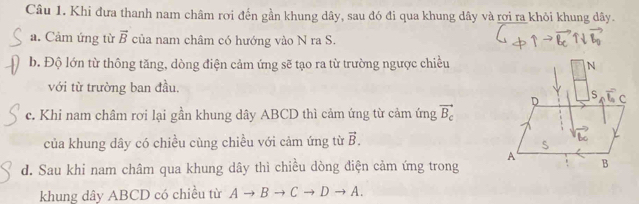 Khi đưa thanh nam châm rơi đến gần khung dây, sau đó đi qua khung dây và rợi ra khỏi khung dây.
a. Cảm ứng từ vector B của nam châm có hướng vào N ra S.
b. Độ lớn từ thông tăng, dòng điện cảm ứng sẽ tạo ra từ trường ngược chiều
với từ trường ban đầu.
c. Khi nam châm rơi lại gần khung dây ABCD thì cảm ứng từ cảm ứng vector B_c
của khung dây có chiều cùng chiều với cảm ứng từ vector B.
d. Sau khi nam châm qua khung dây thì chiều dòng điện cảm ứng trong
khung dây ABCD có chiều từ Ato Bto Cto Dto A.