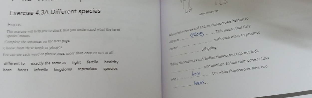 Exercise 4.3A Different species 
white rhinoceros 
Focus 
White rhinoceroses and Indian rhinoceroses belong to 
. This means that they 
This exercise will help you to check that you understand what the term 
_with each other to produce 
'species' means 
Complete the sentences on the next page. 
differen t_ 
Choose from these words or phrases. 
cannot offspring. 
You can use each word or phrase once, more than once or not at all, 
one another. Indian rhinoceroses have 
different to exactly the same as fight fertile healthy 
_White rhinoceroses and Indian rhinoceroses do not look 
horn horns infertile kingdoms reproduce species 
_but white rhinoceroses have two 
one 
_ 
_