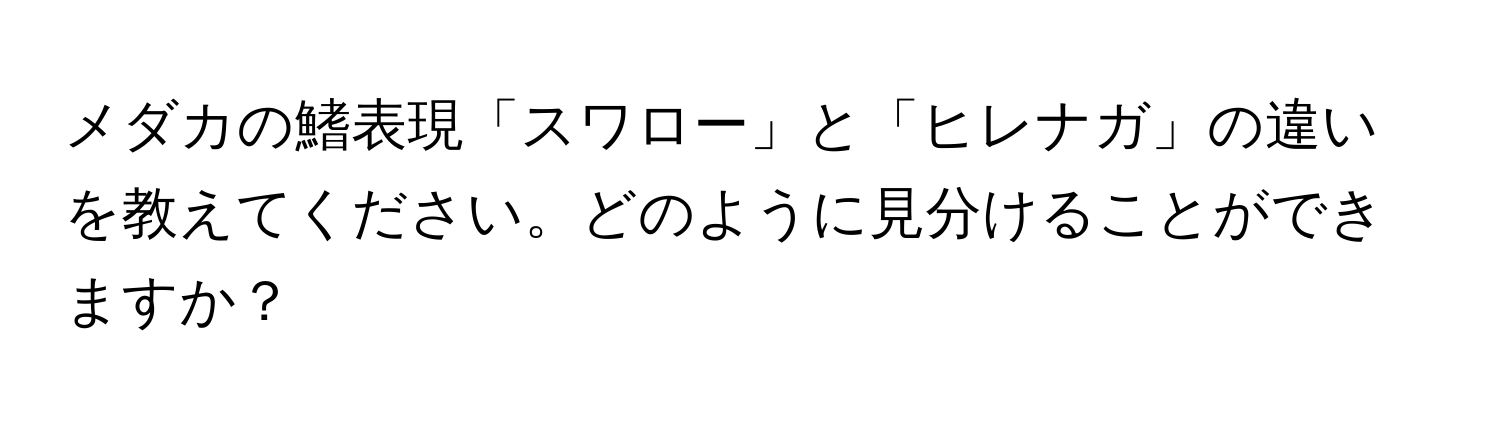 メダカの鰭表現「スワロー」と「ヒレナガ」の違いを教えてください。どのように見分けることができますか？