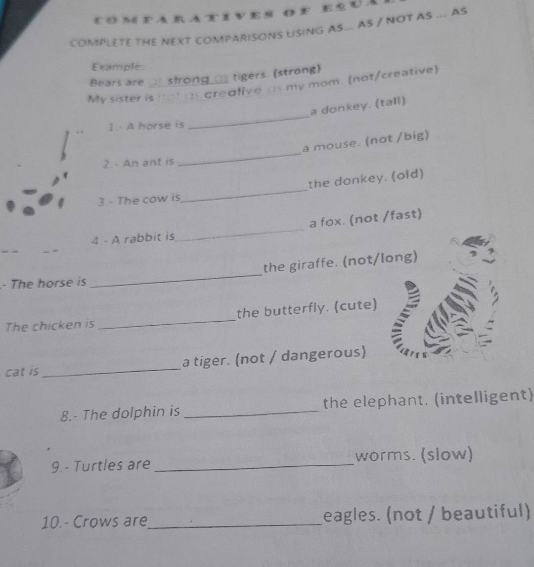 COMP 
COMPLETE THE NEXT COMPARISONS USING AS... AS / NOT AS ... AS 
Example: 
Bears are _s sfrong as tigers. (strong) 
My sister is notas crealive as my mom. (not/creative) 
a donkey. (tall) 
1.- A horse is 
_ 
a mouse. (not /big) 
2. - An ant is 
_ 
the donkey. (old) 
3 - The cow is 
_ 
_ 
a fox. (not /fast) 
4.- A rabbit is 
_ 
the giraffe. (not/long) 
is 
- The horse is 
The chicken is _the butterfly. (cute) 
cat is _a tiger. (not / dangerous) 
8.- The dolphin is _the elephant. (intelligent) 
9.- Turtles are _worms. (slow) 
10.- Crows are_ eagles. (not / beautiful)