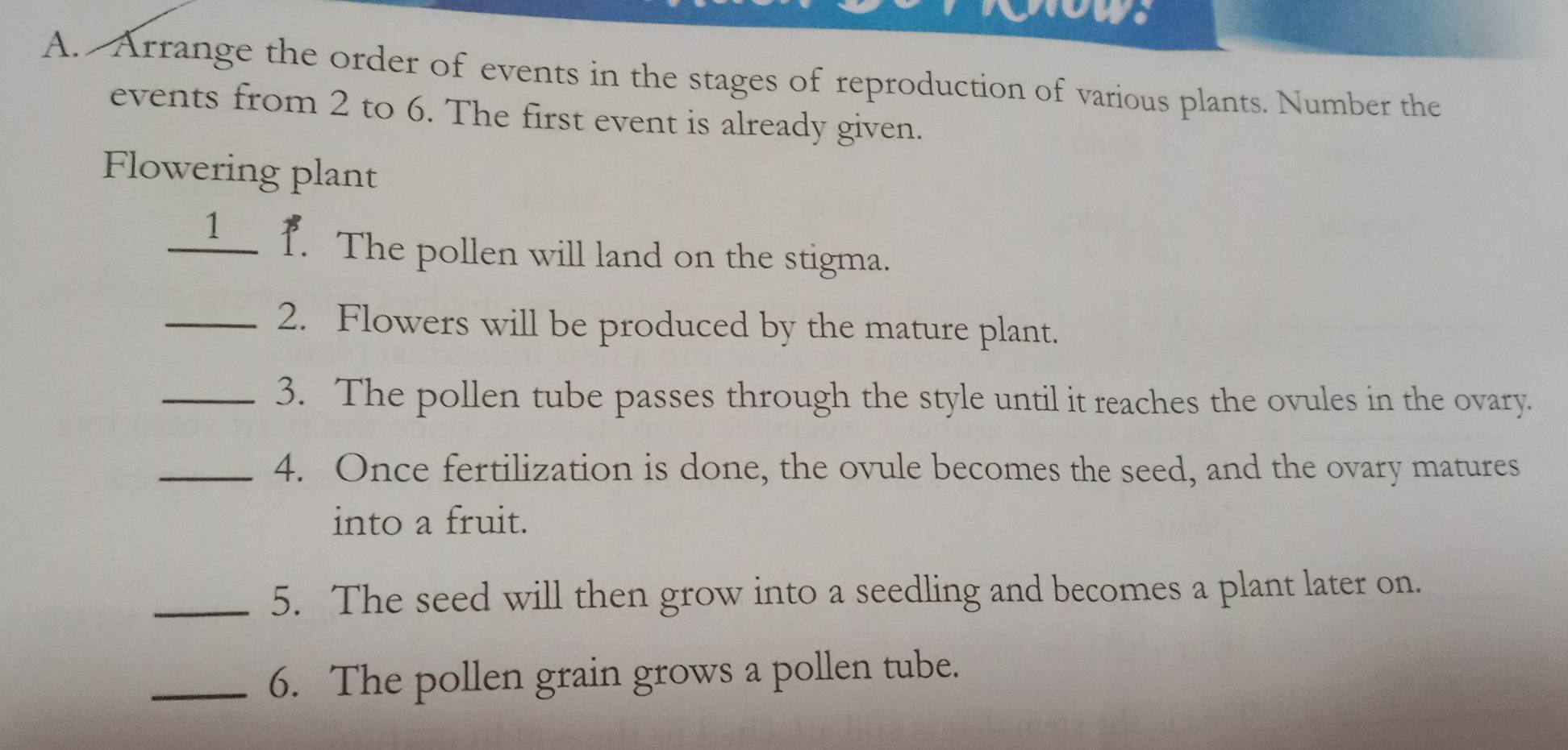 oas 
A. Arrange the order of events in the stages of reproduction of various plants. Number the 
events from 2 to 6. The first event is already given. 
Flowering plant 
__1__ f. The pollen will land on the stigma. 
_2. Flowers will be produced by the mature plant. 
_3. The pollen tube passes through the style until it reaches the ovules in the ovary. 
_4. Once fertilization is done, the ovule becomes the seed, and the ovary matures 
into a fruit. 
_5. The seed will then grow into a seedling and becomes a plant later on. 
_6. The pollen grain grows a pollen tube.