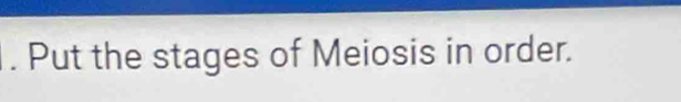 Put the stages of Meiosis in order.