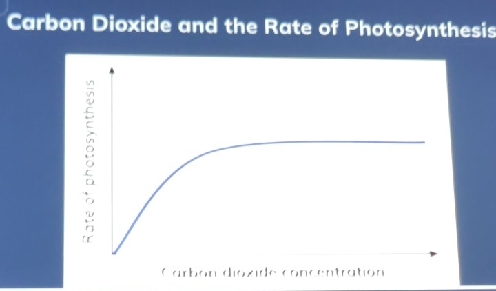 Carbon Dioxide and the Rate of Photosynthesis