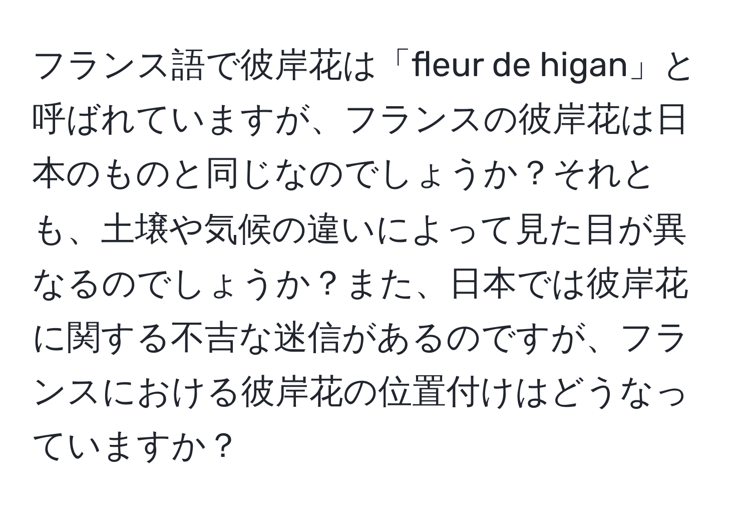 フランス語で彼岸花は「fleur de higan」と呼ばれていますが、フランスの彼岸花は日本のものと同じなのでしょうか？それとも、土壌や気候の違いによって見た目が異なるのでしょうか？また、日本では彼岸花に関する不吉な迷信があるのですが、フランスにおける彼岸花の位置付けはどうなっていますか？