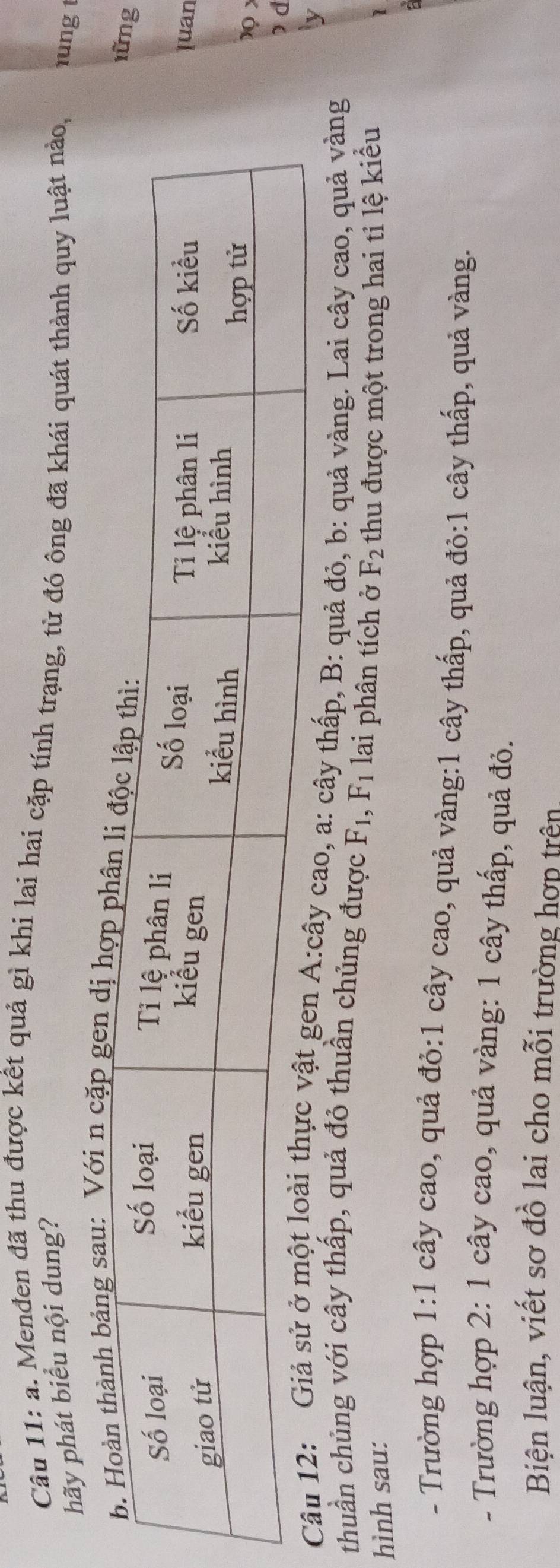 Menđen đã thu được kết quả gì khi lai hai cặp tính trạng, từ đó ông đã khái quát thành quy luật nào, rung t 
hãy phát biểu nội dung? 
sau: Với n cặp 
n 

d 
ao, a: cây thấp, B: quả đỏ, b: quả vàng. Lai cây cao, quả vàng 
thuần chủng với cây thấp, quả đỏ thuần chủng được F_1, F_1 lai phân tích ở F_2
hình sau: thu được một trong hai tỉ lệ kiều 
- Trường hợp 1:1 cây cao, quả đỏ: 1 cây cao, quả vàng:1 cây thấp, quả đỏ:1 cây thấp, quả vàng. 
- Trường hợp 2: 1 cây cao, quả vàng: 1 cây thấp, quả đỏ. 
Biện luận, viết sơ đồ lai cho mỗi trường hơp trên