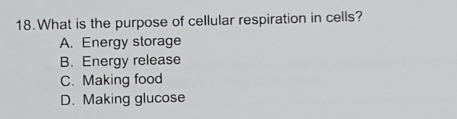 What is the purpose of cellular respiration in cells?
A. Energy storage
B. Energy release
C. Making food
D. Making glucose