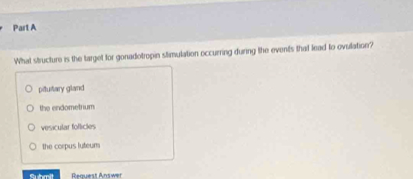 What structure is the target for gonadotropin stimulation occurring during the events that lead to ovulation?
pituitary gland
the endometrium
vesicular follicles
the corpus luteum
Submit Request Answer