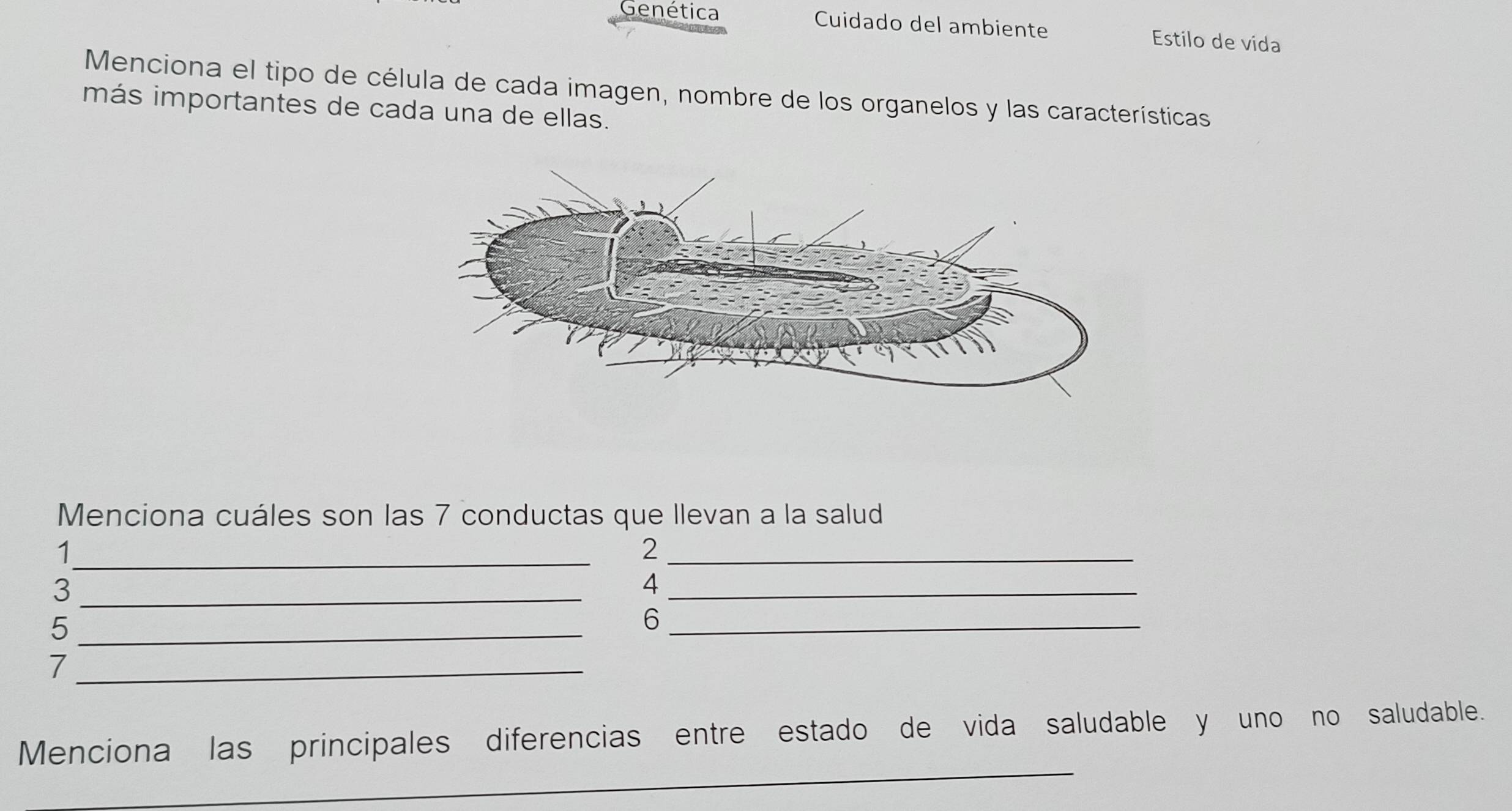 Genética Cuidado del ambiente Estilo de vida 
Menciona el tipo de célula de cada imagen, nombre de los organelos y las características 
más importantes de cada una de ellas. 
Menciona cuáles son las 7 conductas que Ilevan a la salud 
_1 
_2 
_3 
_4 
_5 
_6 
_7 
_ 
Menciona las principales diferencias entre estado de vida saludable y uno no saludable.