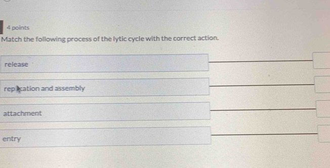 Match the following process of the lytic cycle with the correct action.
release
replication and assembly
attachment
entry