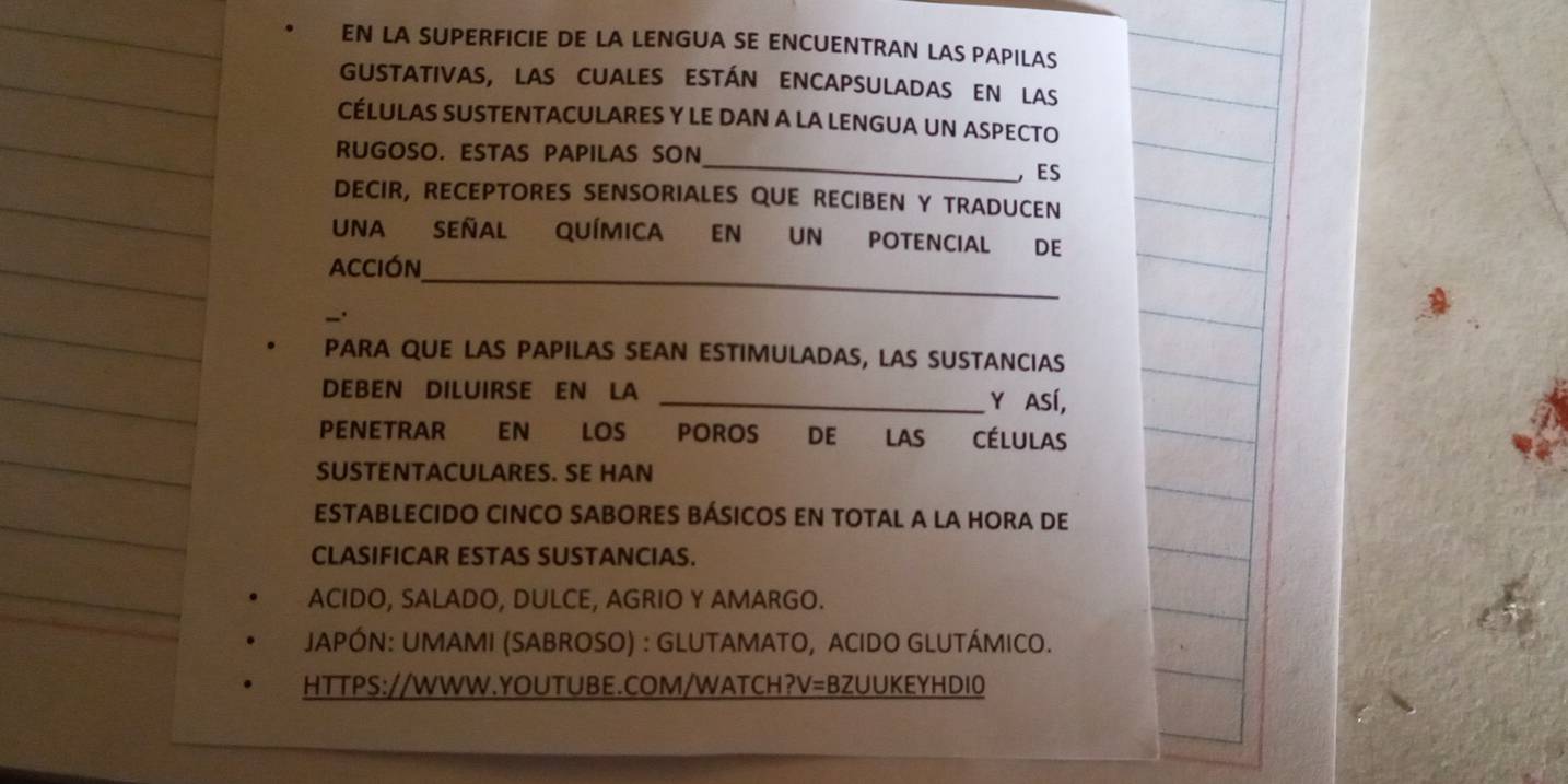 EN LA SUPERFICIE DE LA LENGUA SE ENCUENTRAN LAS PAPILAS 
GustativaS, lAS CUALES ESTáN ENCApSULADAS EN lAS 
CÉLULAS SUSTENTACULARES Y LE DAN A LA LENGUA UN ASPECTO 
RUGOSO. ESTAS PAPILAS SON_ ES 
DECIR, RECEPTORES SENSORIALES QUE RECIBEN Y TRADUCEN 
UNA SEÑAL QUÍMICA EN UN POTENCIAL DE 
ACCIón_ 
PARA QUE LAS PAPILAS SEAN ESTIMULADAS, LAS SUSTANCIAS 
DEBEN DILUIRSE EN LA _Y ASí, 
PENETRAR EN LOS POROS DE LAS CÉLULAS 
SUSTENTACULARES. SE HAN 
ESTABLECIDO CINCO SABORES BÁSICOS EN TOTAL A LA HORA DE 
CLASIFICAR ESTAS SUSTANCIAS. 
ACIDO, SALADO, DULCE, AGRIO Y AMARGO. 
JAPÓN: UMAMI (SABROSO) : GLUTAMATO, ACIDO GLUTÁMICO. 
HTTPS://WWW.YOUTUBE.COM/WATCH?V=BZUUKEYHDI0