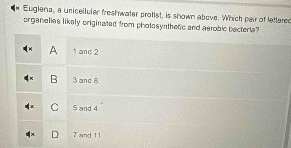 × Euglena, a unicellular freshwater protist, is shown above. Which pair of lettered
organelles likely originated from photosynthetic and aerobic bacteria?
× A 1 and 2
x B 3 and 8
× C 5 and 4
7 and 11