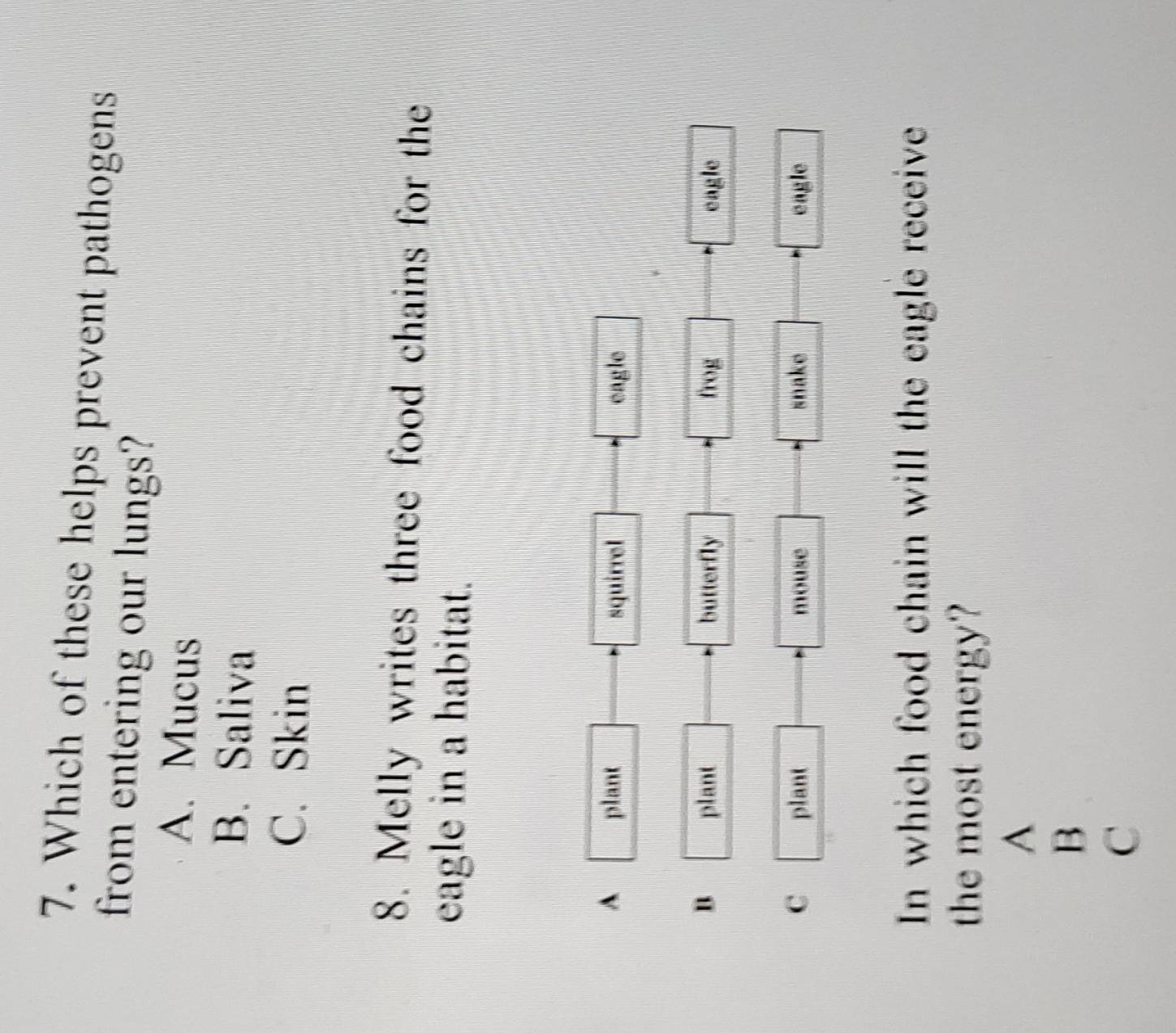 Which of these helps prevent pathogens
from entering our lungs?
A. Mucus
B. Saliva
C. Skin
8. Melly writes three food chains for the
eagle in a habitat.
A plant squirrel eagle
B plant butterfly frog eagle
C plant mouse snake eagle
In which food chain will the eagle receive
the most energy?
A
B
C