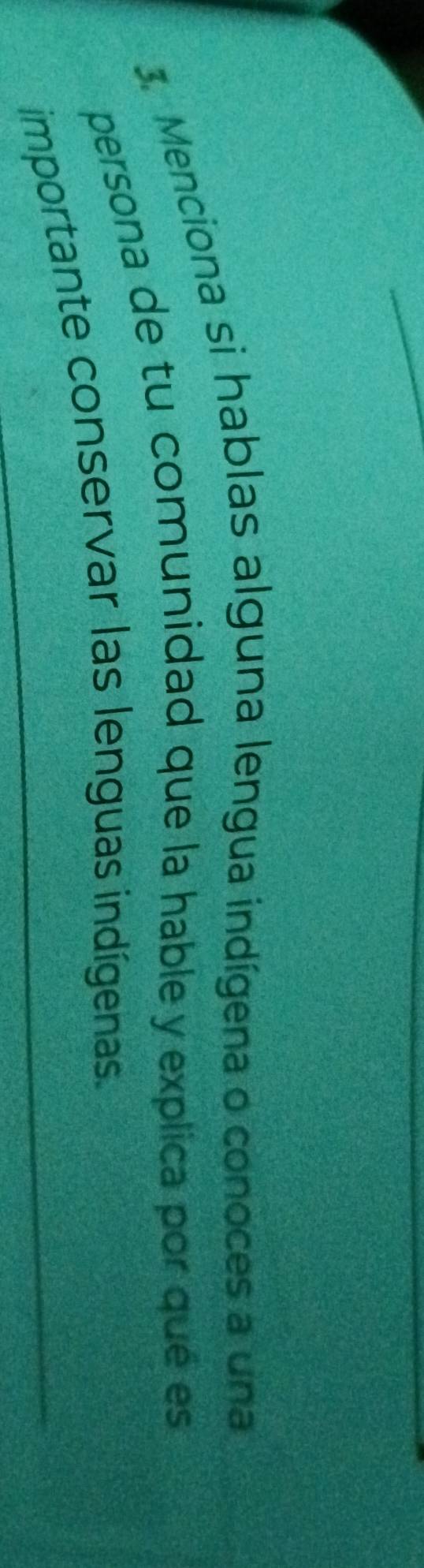Menciona si hablas alguna lengua indígena o conoces a una 
persona de tu comunidad que la hable y explica por qué es 
importante conservar las lenguas indígenas.