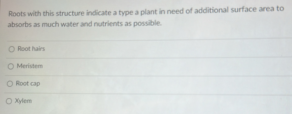 Roots with this structure indicate a type a plant in need of additional surface area to
absorbs as much water and nutrients as possible.
Root hairs
Meristem
Root cap
Xylem