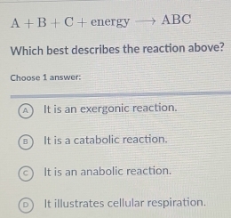 A+B+C+ en rgy ABC
Which best describes the reaction above?
Choose 1 answer:
A It is an exergonic reaction.
It is a catabolic reaction.
It is an anabolic reaction.
It illustrates cellular respiration.