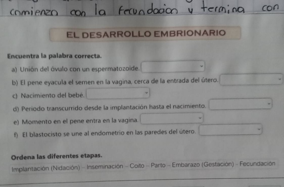 EL DESARROLLO EMBRIONARIO
Encuentra la palabra correcta.
a) Unión del óvulo con un espermatozoide.
b) El pene eyacula el semen en la vagina, cerca de la entrada del útero. □ *
c) Nacimiento del bebé.
l_ 
-1
d) Periodo transcurrido desde la implantación hasta el nacimiento.
e) Momento en el pene entra en la vagina.
f) El blastocisto se une al endometrio en las paredes del útero.
Ordena las diferentes etapas.
Implantación (Nidación) - Inseminación - Coito - Parto - Embarazo (Gestación) - Fecundación