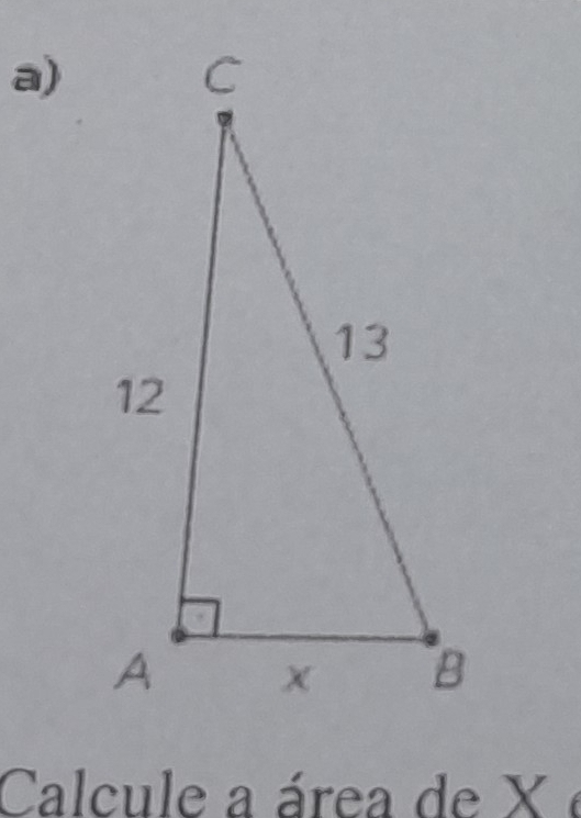 Calcule a área de X é