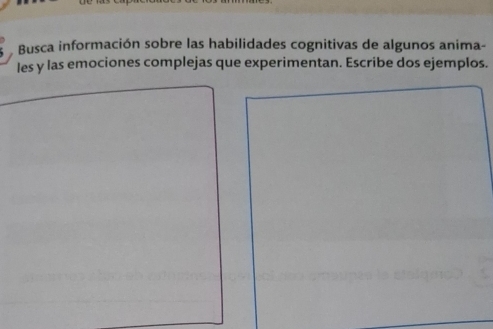 Busca información sobre las habilidades cognitivas de algunos anima- 
les y las emociones complejas que experimentan. Escribe dos ejemplos.