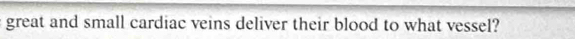 great and small cardiac veins deliver their blood to what vessel?