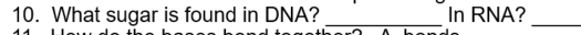 What sugar is found in DNA? In RNA? 
_ 
_