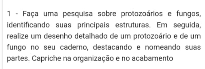 Faça uma pesquisa sobre protozoários e fungos, 
identificando suas principais estruturas. Em seguida, 
realize um desenho detalhado de um protozoário e de um 
fungo no seu caderno, destacando e nomeando suas 
partes. Capriche na organização e no acabamento