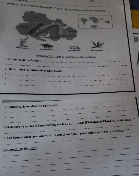 Analysez les données du document'' 3 '', pu 
Document'' 3 '' : Carte de répartition de différents fossiles 
1- Qu'est-ce qu'un fossile ?_ 
_ 
_ 
2- Déterminez la nature de chaque fossile. 
_ 
_ 
_ 
_ 
3- Comparez la localisation des fossiles 
_ 
_ 
4- Retrouve -t on les mêmes fossiles sur les 2 continents (l'Afrique et l'Amérique du sud) ? 
_ 
5- Ces êtres vivants, pouvaient-ils traverser un océan pour coloniser l'’autre continent ? 
_ 
_ 
Que peut -on déduire ? 
_ 
_ 
_