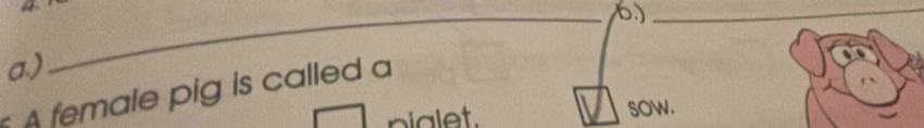 6)_
a)
ale pig is called
piglet. sow.