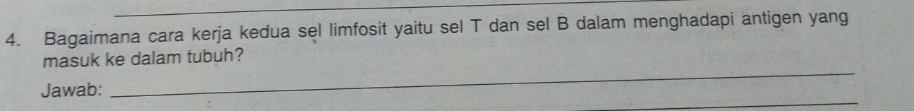 Bagaimana cara kerja kedua sel limfosit yaitu sel T dan sel B dalam menghadapi antigen yang 
_ 
masuk ke dalam tubuh? 
_ 
Jawab: