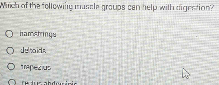 Which of the following muscle groups can help with digestion?
hamstrings
deltoids
trapezius
rectus abdominis