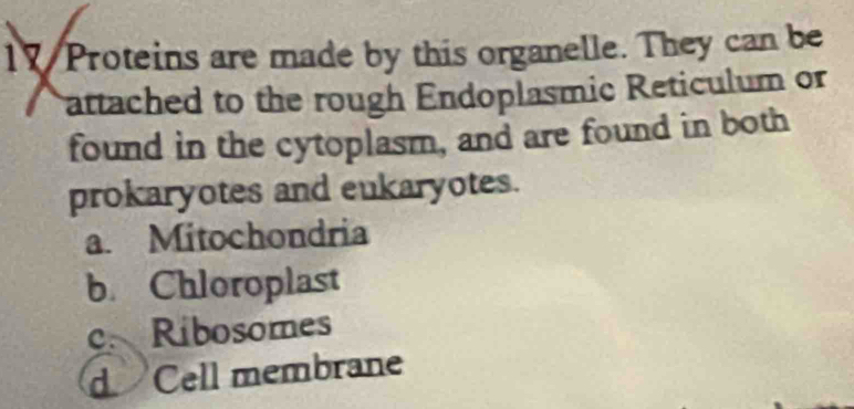 Proteins are made by this organelle. They can be
attached to the rough Endoplasmic Reticulum or
found in the cytoplasm, and are found in both
prokaryotes and eukaryotes.
a. Mitochondria
b. Chloroplast
c. Ribosomes
d Cell membrane