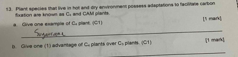 Plant species that live in hot and dry environment possess adaptations to facilitate carbon 
fixation are known as C_4 and CAM plants. 
a. Give one example of C_4 plant. (C1) [1 mark] 
_ 
b. Give one (1) advantage of C_4 plants over C_3 plants. (C1) [1 mark] 
_