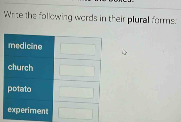 Write the following words in their plural forms: