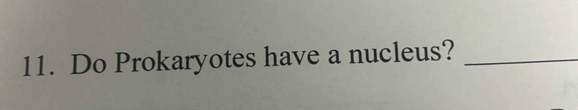 Do Prokaryotes have a nucleus?_