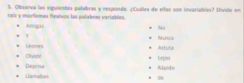 Observa las siguientes palabras y responde. ¿Cuáles de ellas son invariables? Divide en
raíz y morfemas flexivos las palabras variables.
Arigas
No
Nunca
Leones Astuta
Olvide lejos
Deprisa Rápido
Llamabas die