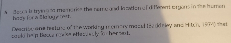 Becca is trying to memorise the name and location of different organs in the human 
body for a Biology test. 
Describe one feature of the working memory model (Baddeley and Hitch, 1974) that 
could help Becca revise effectively for her test.