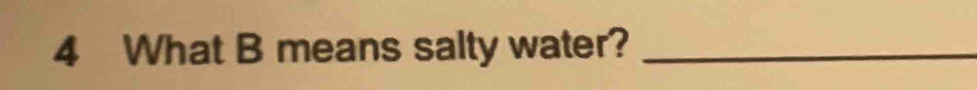 What B means salty water?_