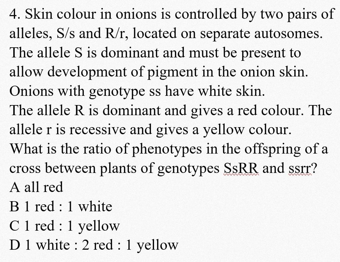 Skin colour in onions is controlled by two pairs of
alleles, S/s and R/r, located on separate autosomes.
The allele S is dominant and must be present to
allow development of pigment in the onion skin.
Onions with genotype ss have white skin.
The allele R is dominant and gives a red colour. The
allele r is recessive and gives a yellow colour.
What is the ratio of phenotypes in the offspring of a
cross between plants of genotypes SsRR and ssrr?
A all red
B 1 red : 1 white
C 1 red : 1 yellow
D 1 white : 2 red : 1 yellow