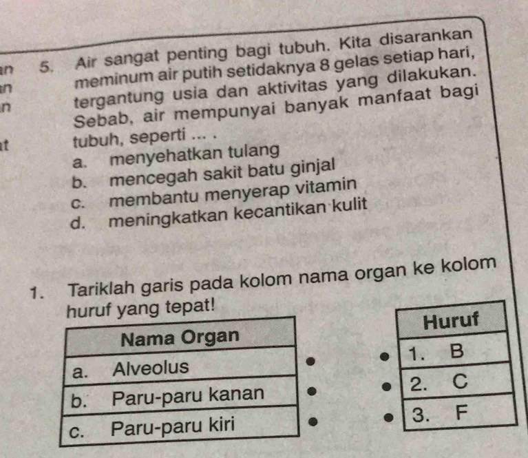 Air sangat penting bagi tubuh. Kita disarankan
n meminum air putih setidaknya 8 gelas setiap hari,
n tergantung usia dan aktivitas yang dilakukan.
Sebab, air mempunyai banyak manfaat bagi
t tubuh, seperti ... .
a. menyehatkan tulang
b. mencegah sakit batu ginjal
c. membantu menyerap vitamin
d. meningkatkan kecantikan kulit
1. Tariklah garis pada kolom nama organ ke kolom
tepat!